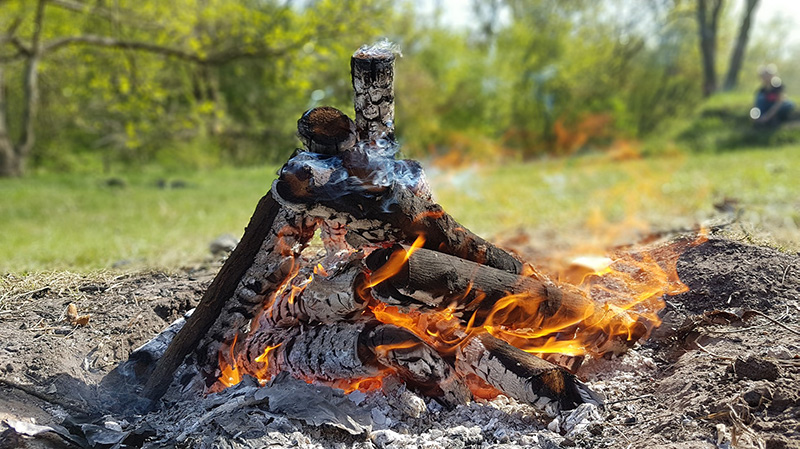 bonfire-freeimg.jpg