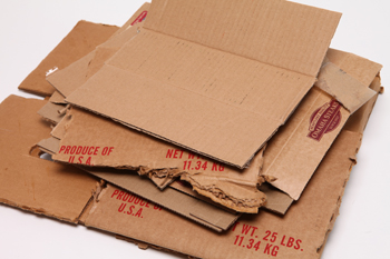 Cardboard.JPG