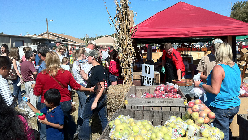 ellijay_festival_gahomefind.jpg