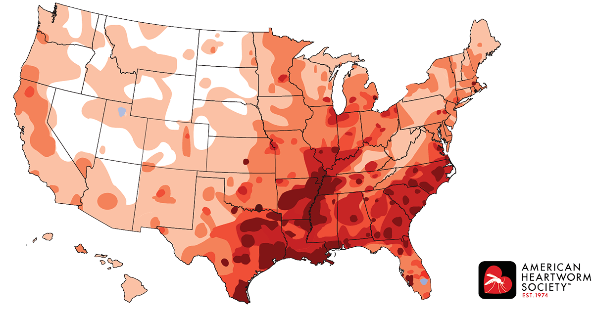 heartworm-2019-american_heartworm_society.png