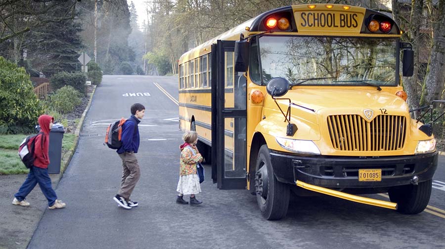 schoolbus-freeimage.jpg