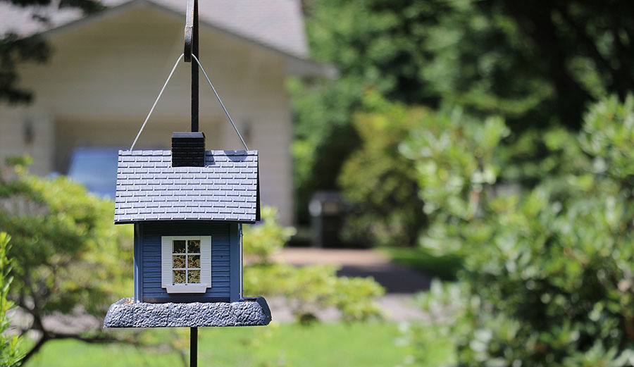 birdhouse-bluecolor-freeimg.jpg