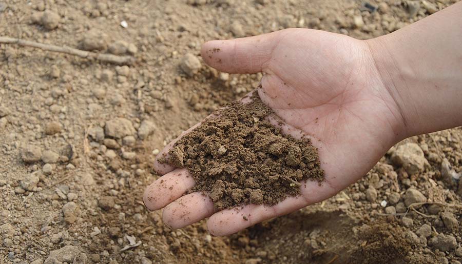 soil-freeimg.jpg