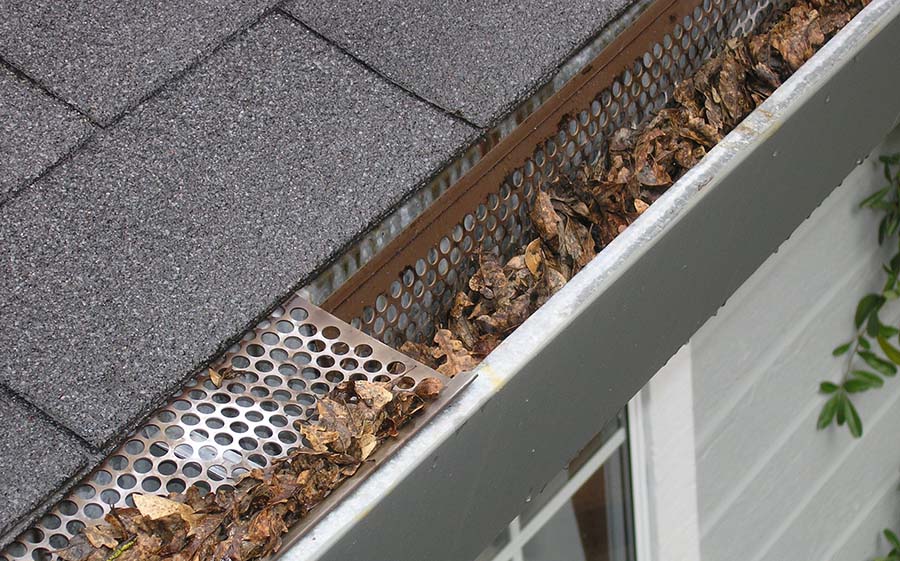 gutter-guard-freeimg.jpg